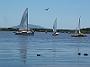 manning-regatta 032